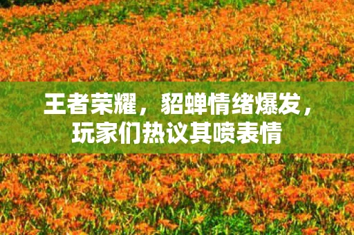 王者荣耀，貂蝉情绪爆发，玩家们热议其喷表情