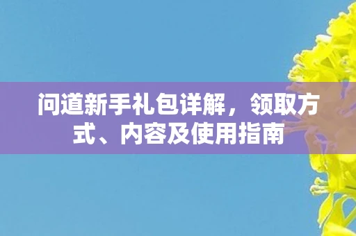 问道新手礼包详解，领取方式、内容及使用指南