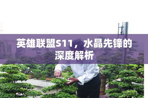 英雄联盟S11，水晶先锋的深度解析