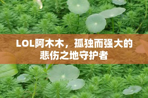 LOL阿木木，孤独而强大的悲伤之地守护者