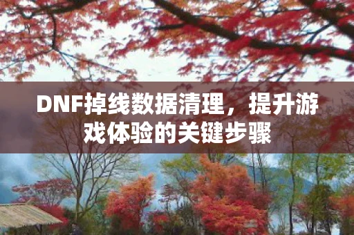 DNF掉线数据清理，提升游戏体验的关键步骤