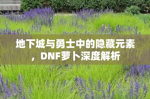 地下城与勇士中的隐藏元素，DNF萝卜深度解析