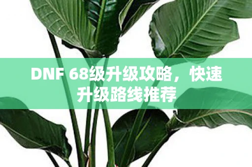 DNF 68级升级攻略，快速升级路线推荐