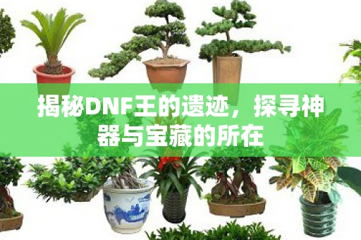 揭秘DNF王的遗迹，探寻神器与宝藏的所在