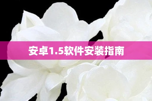 安卓1.5软件安装指南