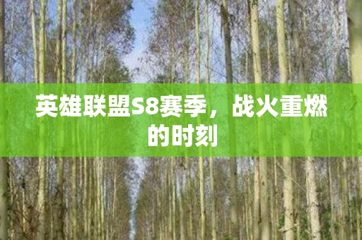 英雄联盟S8赛季，战火重燃的时刻