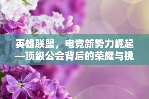英雄联盟，电竞新势力崛起—顶级公会背后的荣耀与挑战