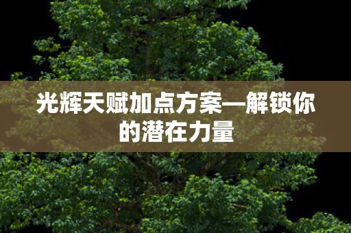 光辉天赋加点方案图片