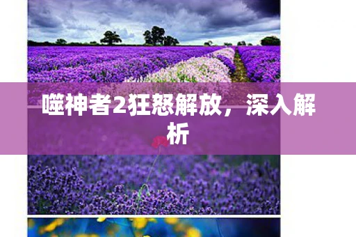 噬神者2狂怒解放，深入解析