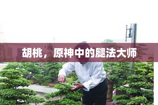 胡桃，原神中的腿法大师