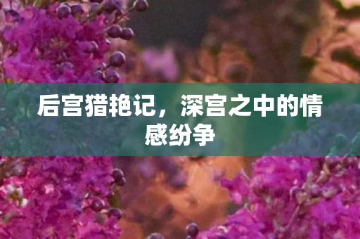 后宫猎艳记，深宫之中的情感纷争