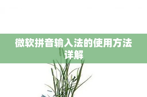 微软拼音输入法的使用方法详解