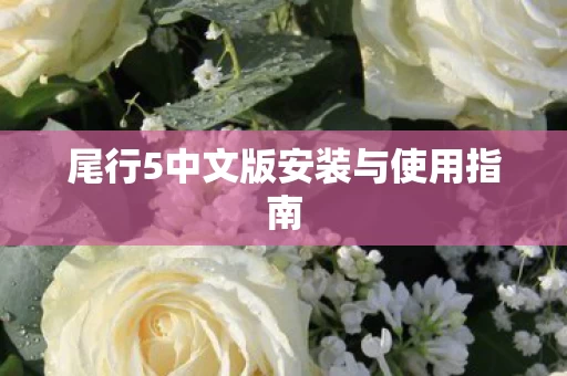 尾行5中文版安装与使用指南图片