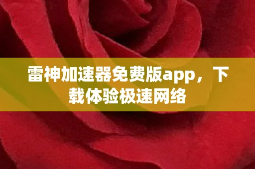 雷神加速器免费版app，下载体验极速网络