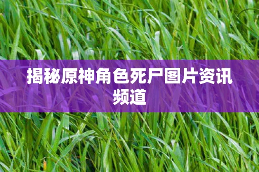 揭秘原神角色死尸图片资讯频道