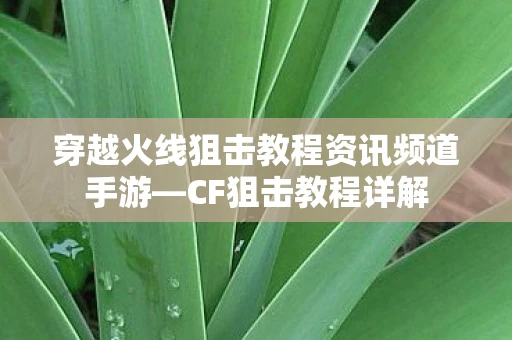 穿越火线狙击教程资讯频道手游—CF狙击教程详解