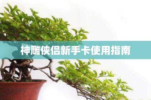 神雕侠侣新手卡使用指南
