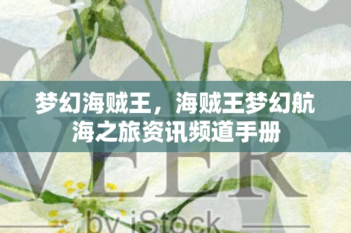 梦幻海贼王，海贼王梦幻航海之旅资讯频道手册