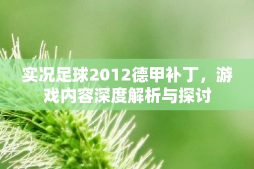 实况足球2012德甲补丁图片