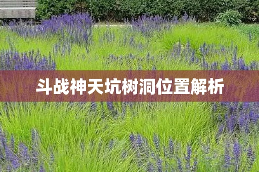 斗战神天坑树洞位置解析