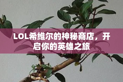 LOL希维尔的神秘商店，开启你的英雄之旅
