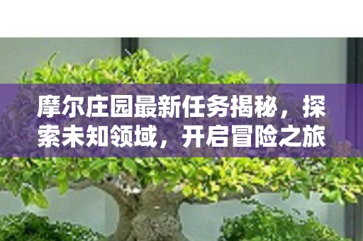 摩尔庄园最新任务揭秘，探索未知领域，开启冒险之旅