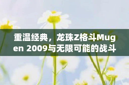 重温经典，龙珠Z格斗Mugen 2009与无限可能的战斗艺术
