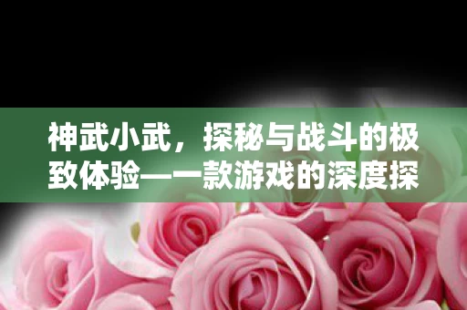 一款游戏的深度探索与建议图片