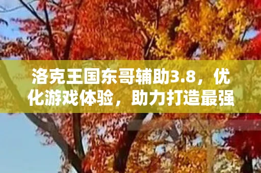 洛克王国东哥辅助3.8，优化游戏体验，助力打造最强王国