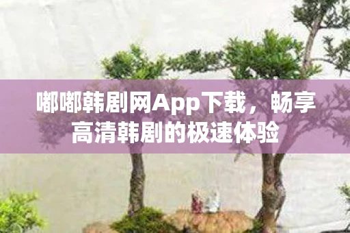 嘟嘟韩剧网App下载，畅享高清韩剧的极速体验