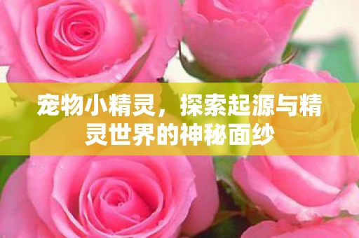 宠物小精灵，探索起源与精灵世界的神秘面纱