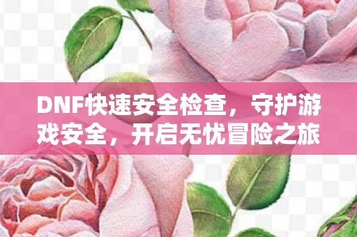 DNF快速安全检查，守护游戏安全，开启无忧冒险之旅