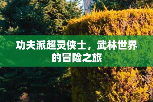 功夫派超灵侠士，武林世界的冒险之旅