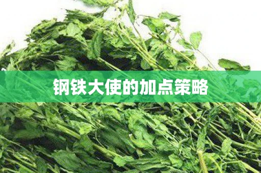 钢铁大使的加点策略