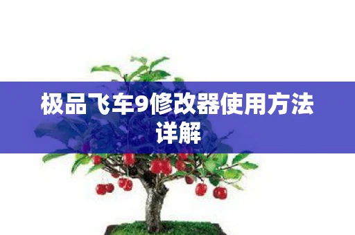 极品飞车9修改器使用方法详解