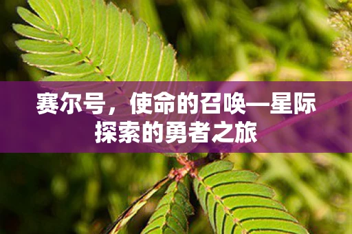 赛尔号，使命的召唤—星际探索的勇者之旅