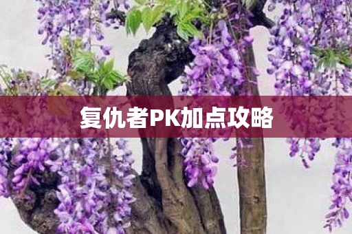 复仇者PK加点攻略
