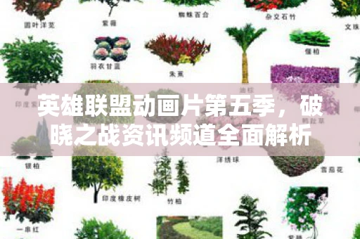 英雄联盟动画片第五季，破晓之战资讯频道全面解析