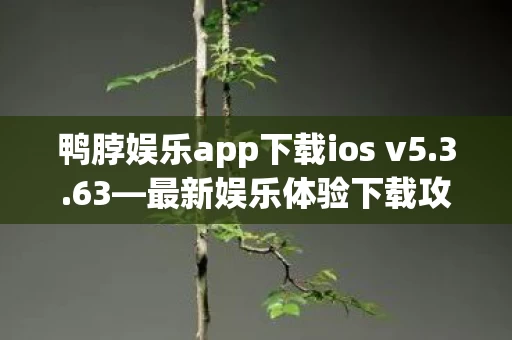 鸭脖娱乐app下载ios v5图片