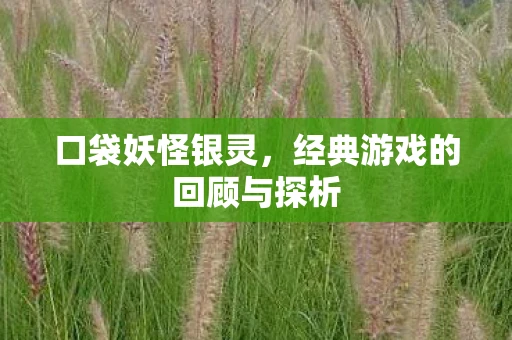 口袋妖怪银灵，经典游戏的回顾与探析