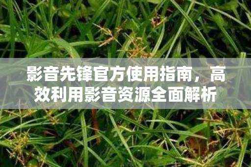 影音先锋官方使用指南，高效利用影音资源全面解析