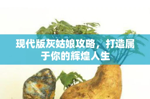 现代版灰姑娘攻略，打造属于你的辉煌人生