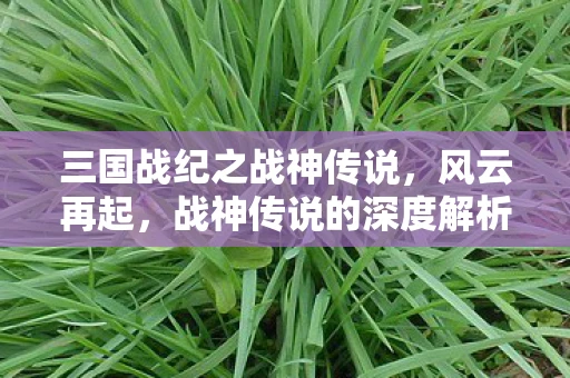 三国战纪之战神传说，风云再起，战神传说的深度解析