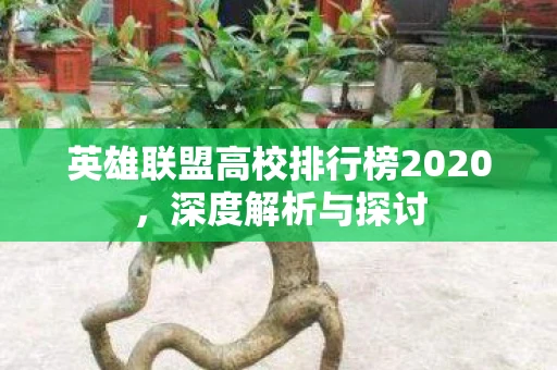 英雄联盟高校排行榜2020，深度解析与探讨