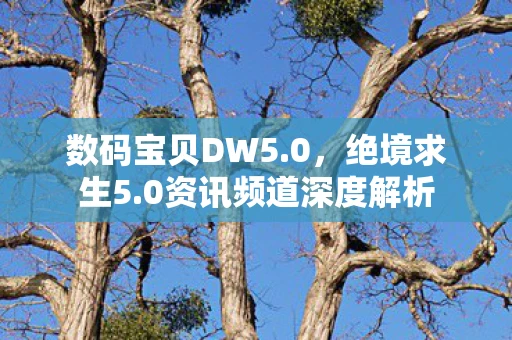 数码宝贝DW5.0，绝境求生5.0资讯频道深度解析