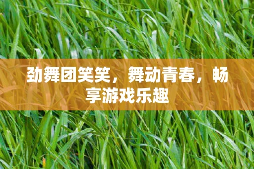 劲舞团笑笑，舞动青春，畅享游戏乐趣