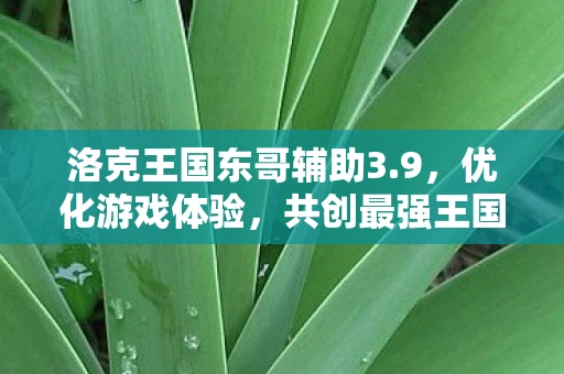 洛克王国东哥辅助3.9，优化游戏体验，共创最强王国