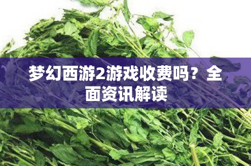 梦幻西游2游戏收费吗图片