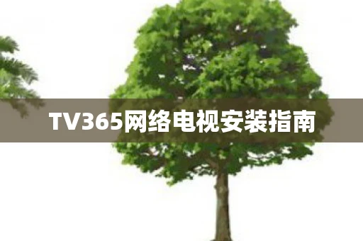 TV365网络电视安装指南