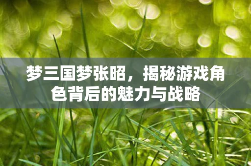 揭秘游戏角色背后的魅力与战略图片